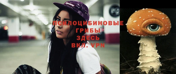крисы Богданович