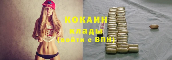 крисы Богданович
