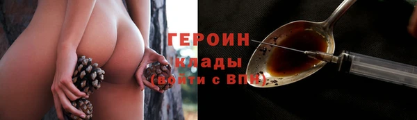 шишки Богородск