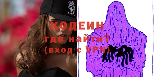 шишки Богородск