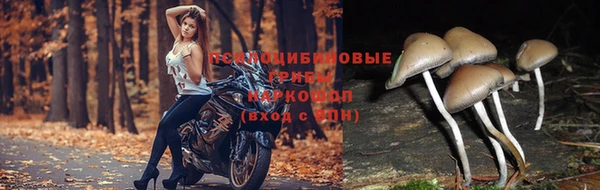 трава Белоозёрский