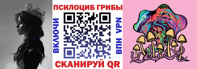 Псилоцибиновые грибы мицелий  Венёв 